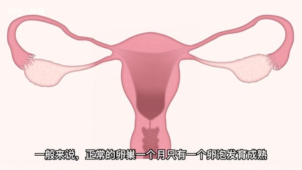 刮宫是怎么回事