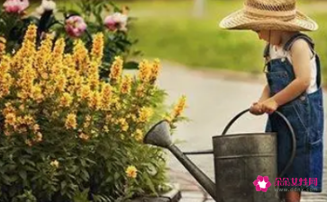 孕妇梦见浇花
