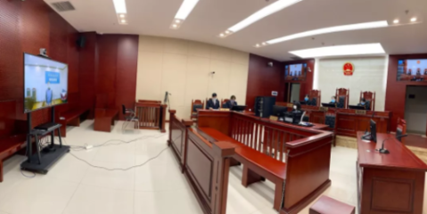 刑事案件开庭视频