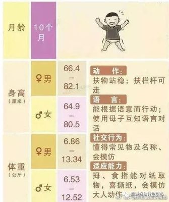 12个月宝宝发育指标