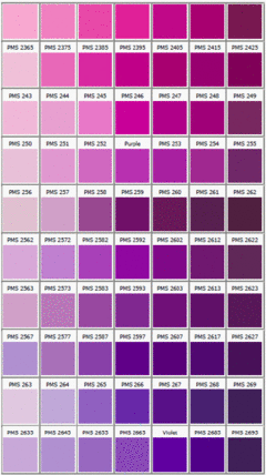 紫色的搭配什么颜色好看