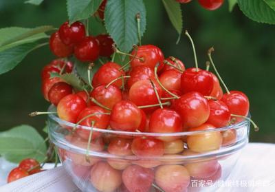 小孩咳嗽可以吃樱桃吗