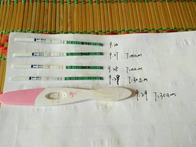 怀孕怎么算周数
