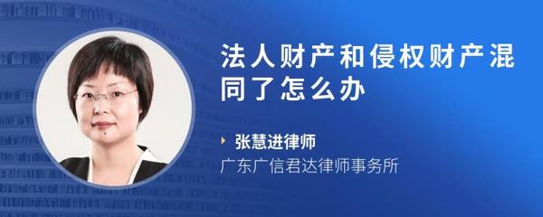 法人财产混同