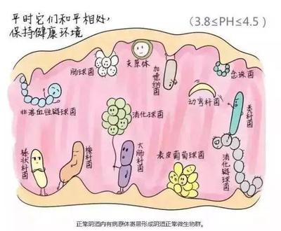 霉菌会影响胎儿吗