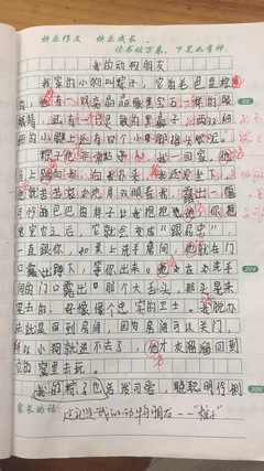 我和我的老师作文600字作文怎么写