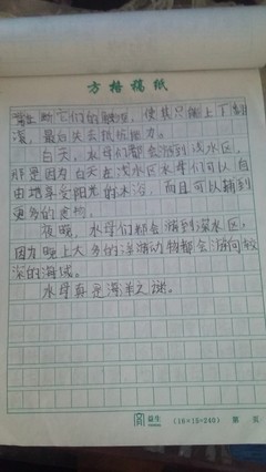 我们的6班作文怎么写