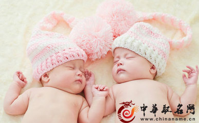 双胞胎最新最特别乳名