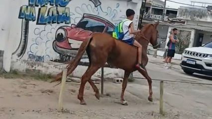 富源周边那里可以骑马