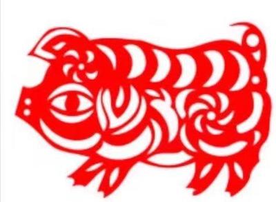 12生肖猪配什么生肖