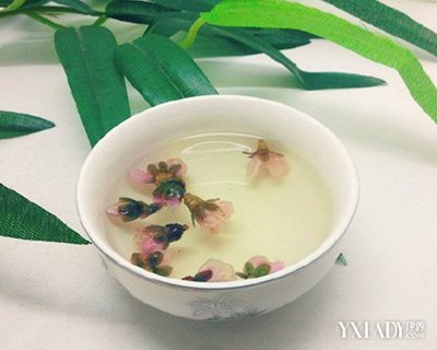 排毒祛斑茶