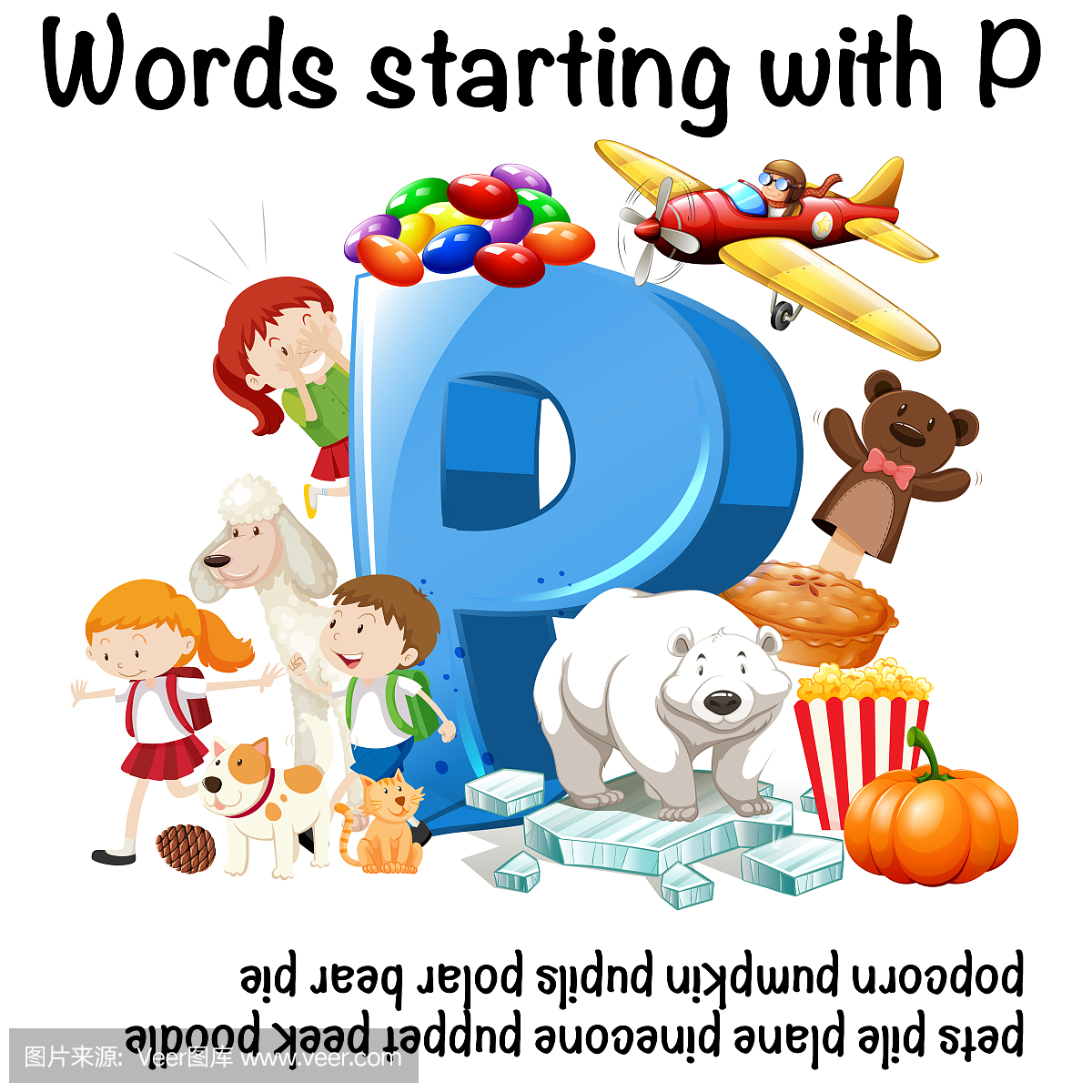 p开头的单词图片图片