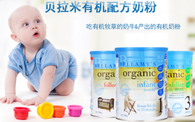 哪种品牌的婴儿奶粉好