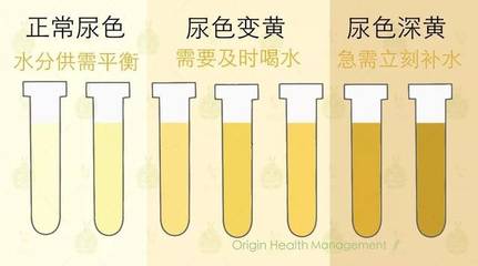 看尿液颜色定喝水多少