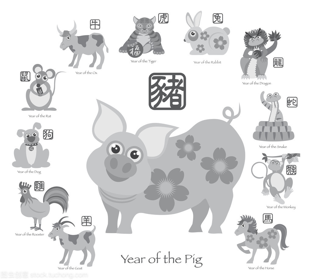 猪生肖几岁