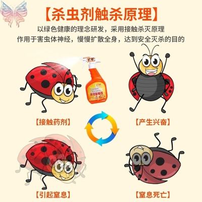 房间驱虫