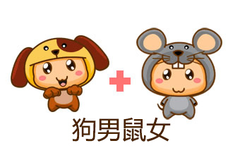 属老鼠和属狗