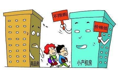 小产权房子