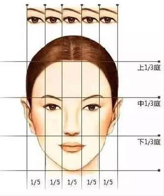 脸型的种类