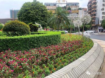 园林花坛设计图