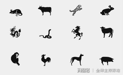 天上动物是什么生肖