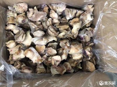 干海螺头做法大全家常做法