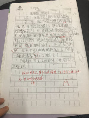 观察作文怎么写四百字左右的作文