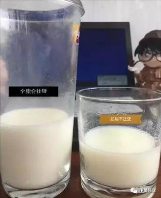 没有乳糖的奶粉