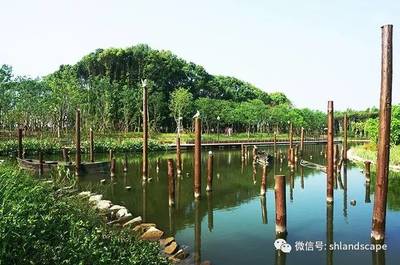 看见白鹭有什么寓意