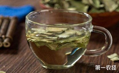 喝哪种茶减肥效果好