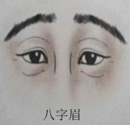 八字眉可以修成什么眉