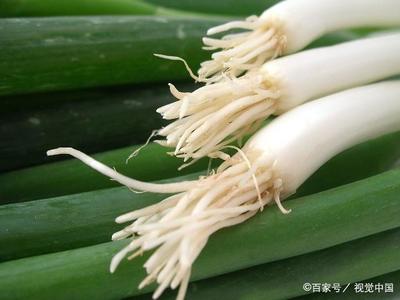 葱的寓意是什么意思
