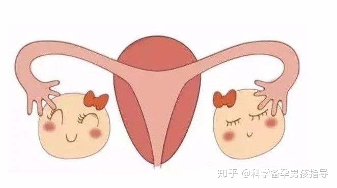 输卵管一边堵塞一边通会怀孕吗