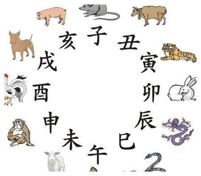 十二属相排序