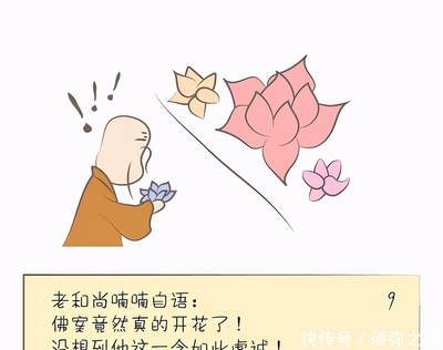 哪个生肖代表和尚