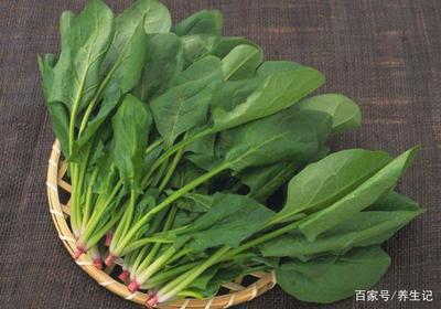 孕妇血糖高可以吃菠菜吗,高血压可以吃菠菜吗?最佳答案