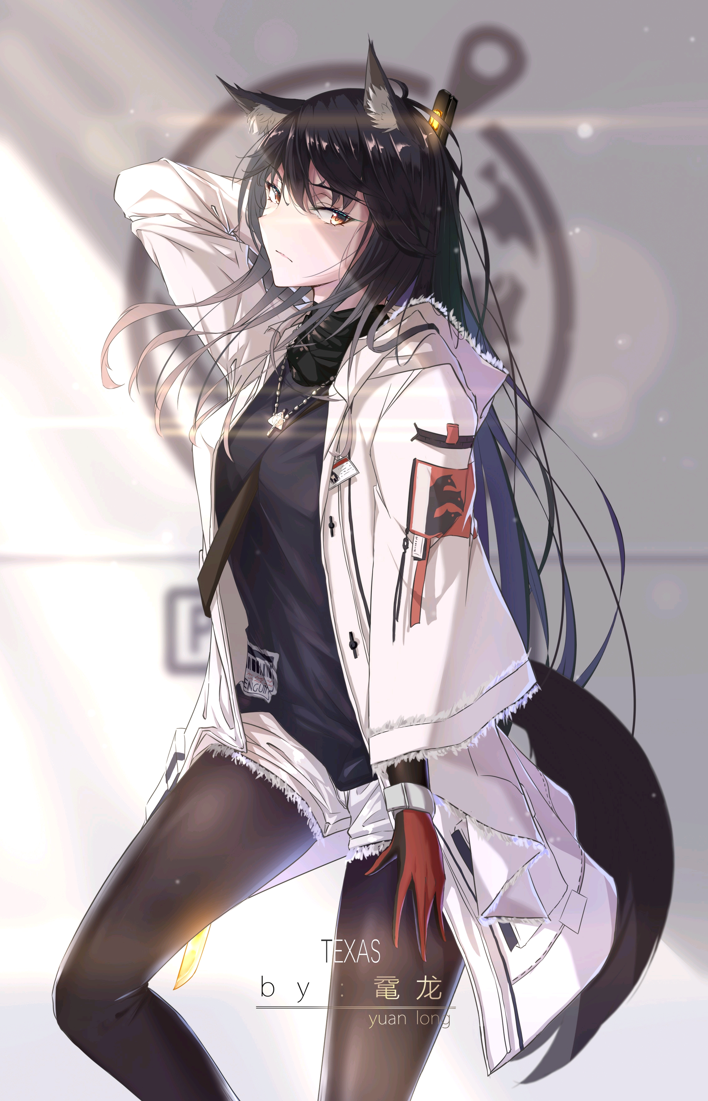 【明日方舟】德克萨斯 p站超级美图 53张 精选.