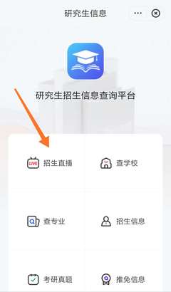 怎么打开app的网络