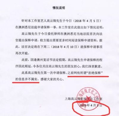 案件情况说明