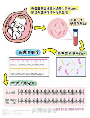 孕妇外周血