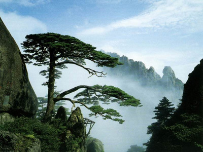 上海到黄山攻略