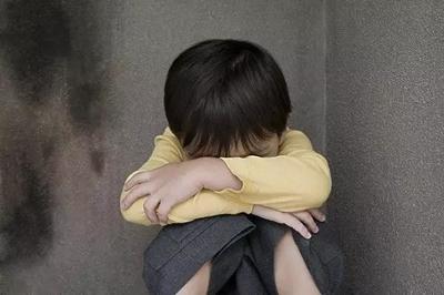 性侵害的法律责任主要包括