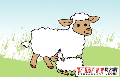 属羊的是那一年出生的