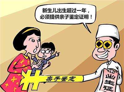 非婚生子亲子鉴定