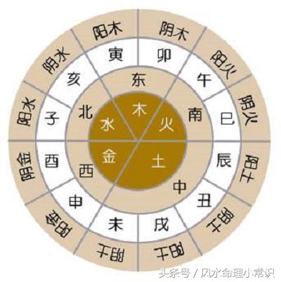 寅的五行属性