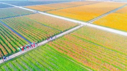 龙寿洋万亩田野公园