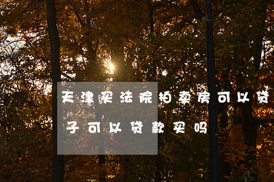 拍卖房可以按揭贷款