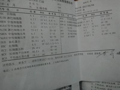 6个月宝宝中度贫血