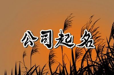 独特的公司名字大全