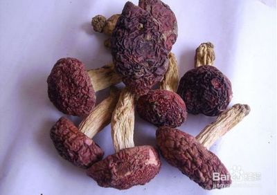 孕妇可以吃红菇吗